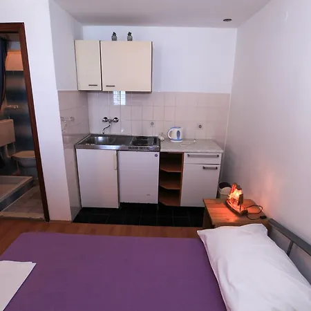 Robinson Dora Putniković