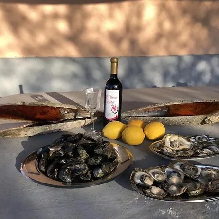 Robinson Dora Apartment Putniković