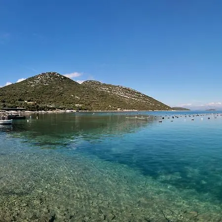 Robinson Dora Putniković