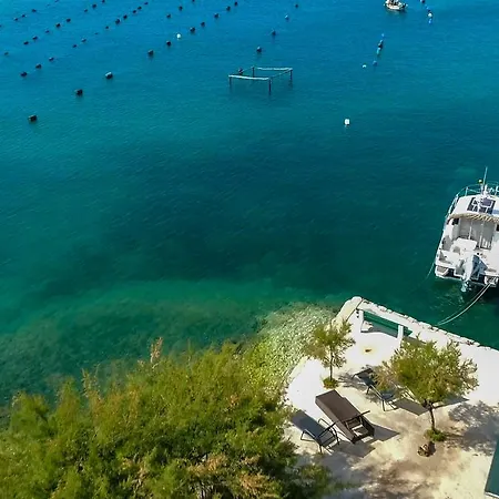 Robinson Dora * Putniković