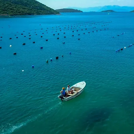 Robinson Dora Apartment Putniković