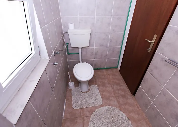 Robinson Dora Putnikovic