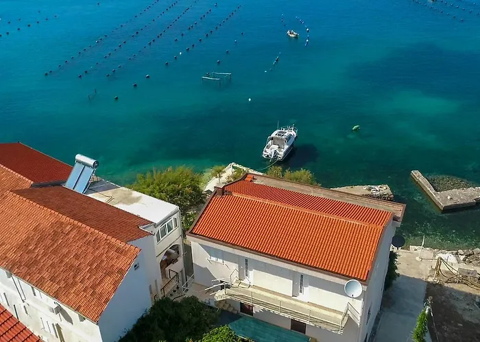 Robinson Dora * Putnikovic