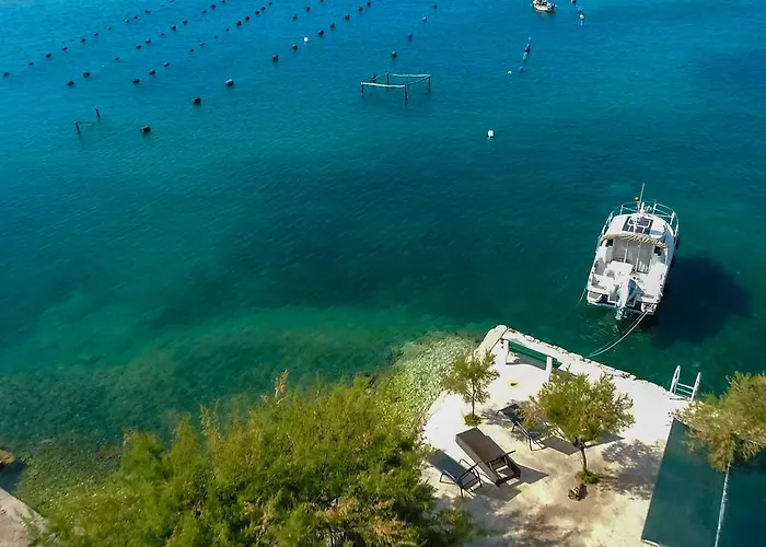 Robinson Dora * Putnikovic