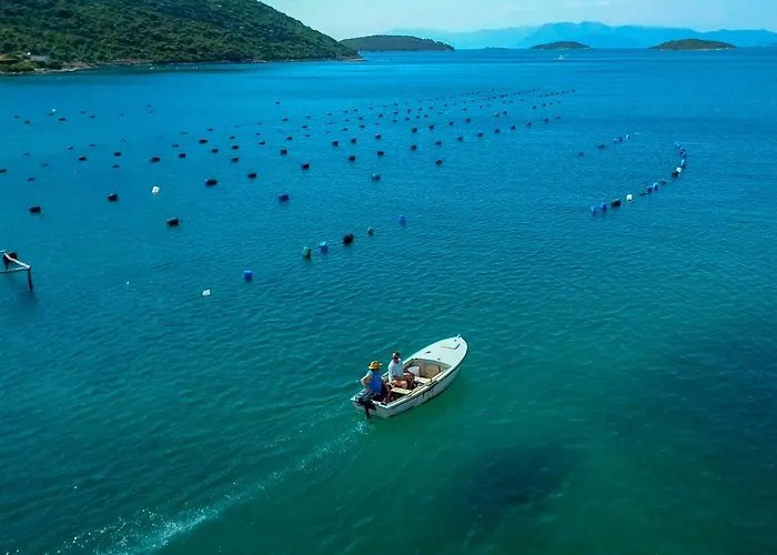 Robinson Dora Apartment Putnikovic